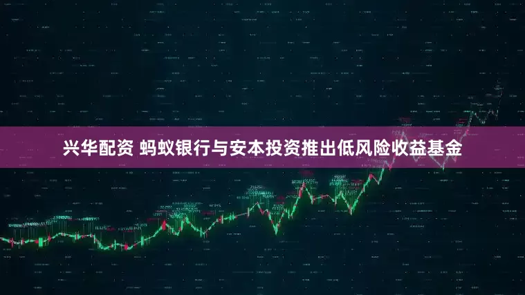兴华配资 蚂蚁银行与安本投资推出低风险收益基金