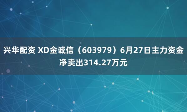 兴华配资 XD金诚信（603979）6月27日主力资金净卖出314.27万元